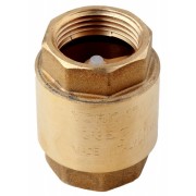 Brass spring check valve(York)
